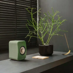KEF LSX II Wireless Powered Bookshelf Speaker System -Trendy Electronic Audio Supplies Store 23 KEF LSXII green with plant 1050x1050 1