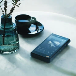 Sony NW-WM1AM2 Walkman Digital Music Player -Trendy Electronic Audio Supplies Store NW WM1AM2 Situation04 Large 1050x1050 1