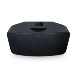 Bluesound PULSE MINI 2i